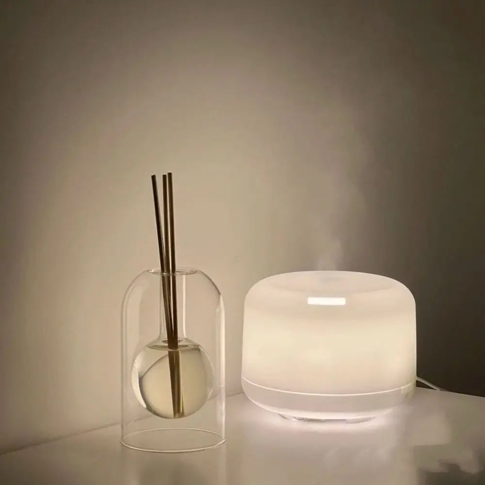 Minimalist Glass Reed Diffuser – Aromatherapy Home Fragrance & Decor